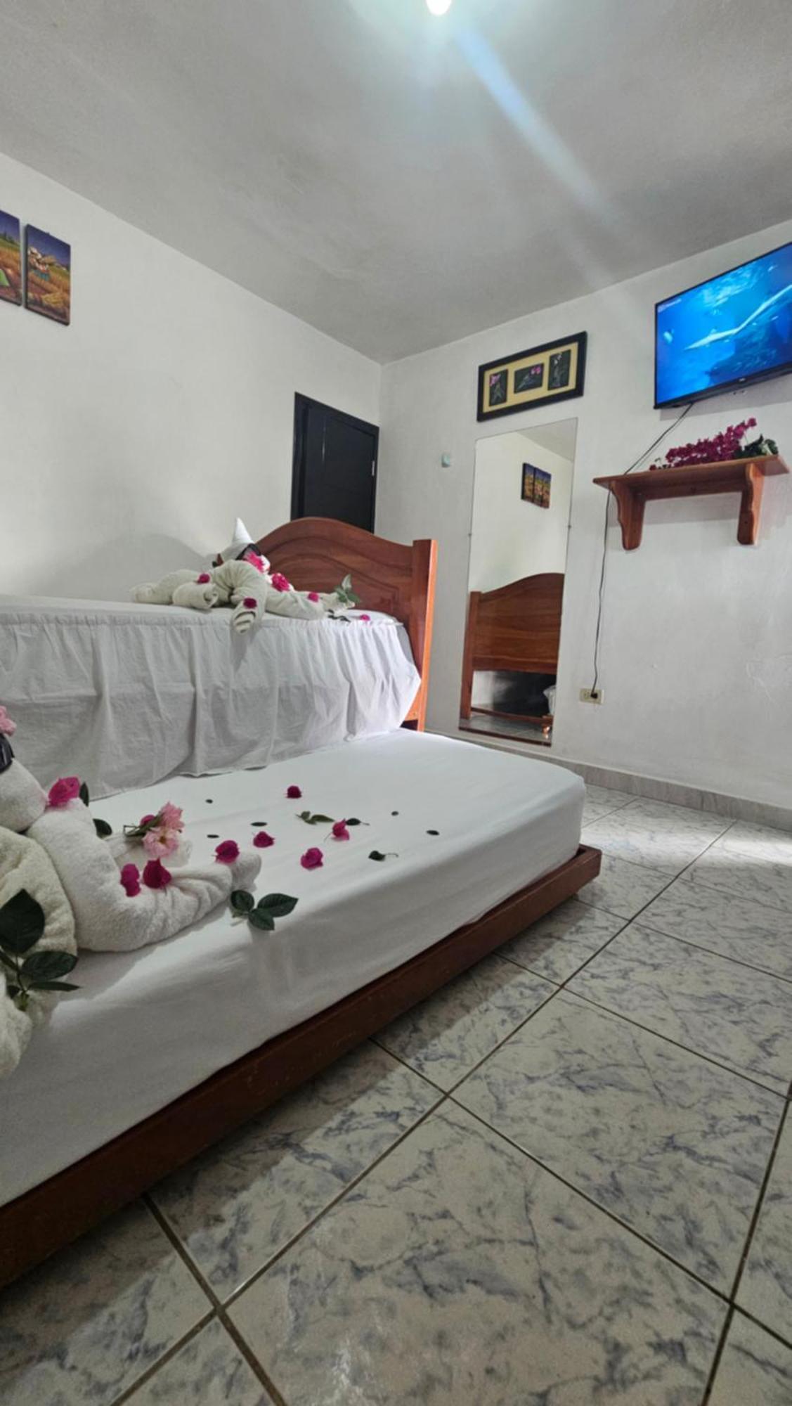 Flor'S House Apartment San Cristóbal Екстериор снимка