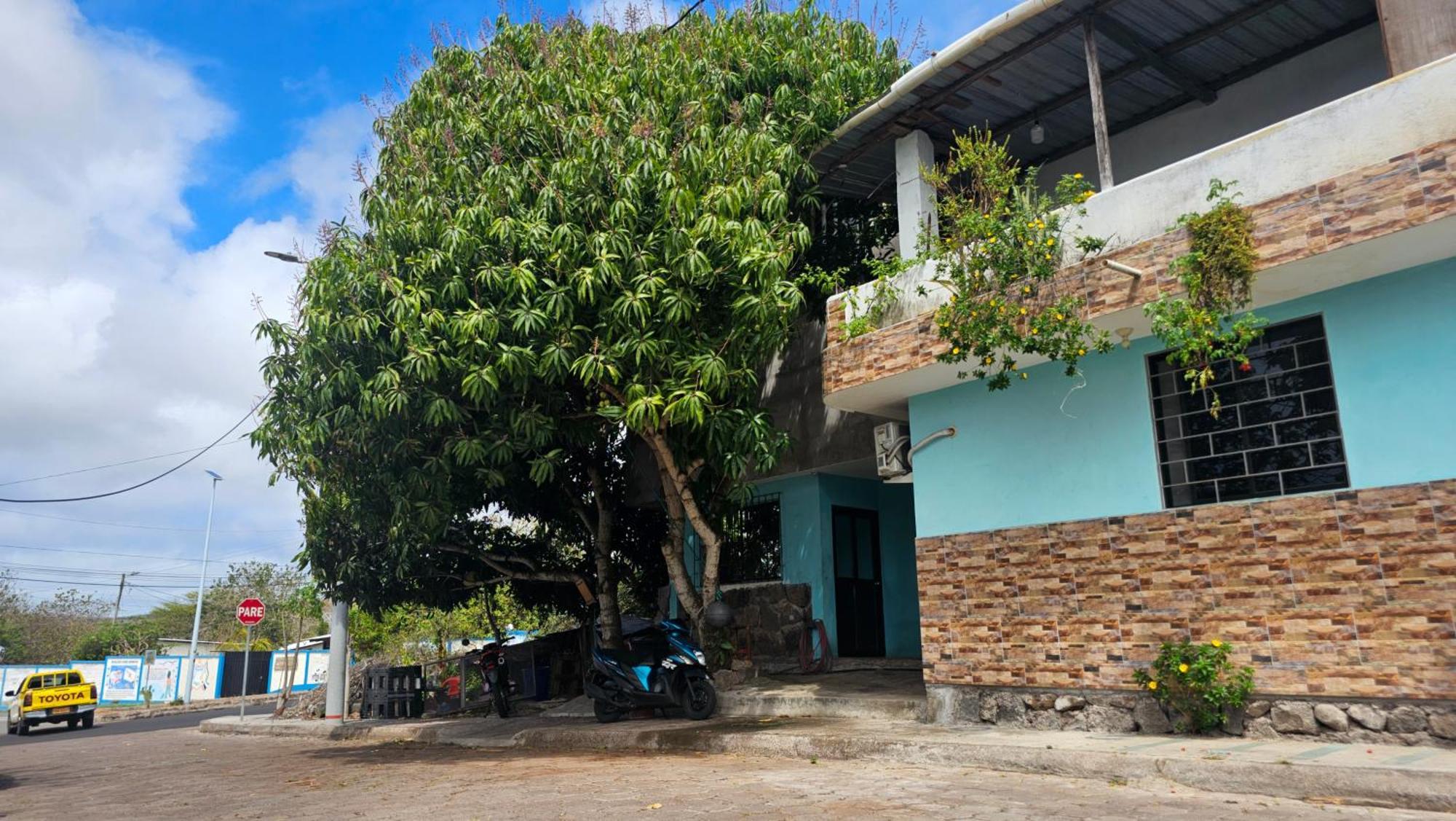 Flor'S House Apartment San Cristóbal Екстериор снимка